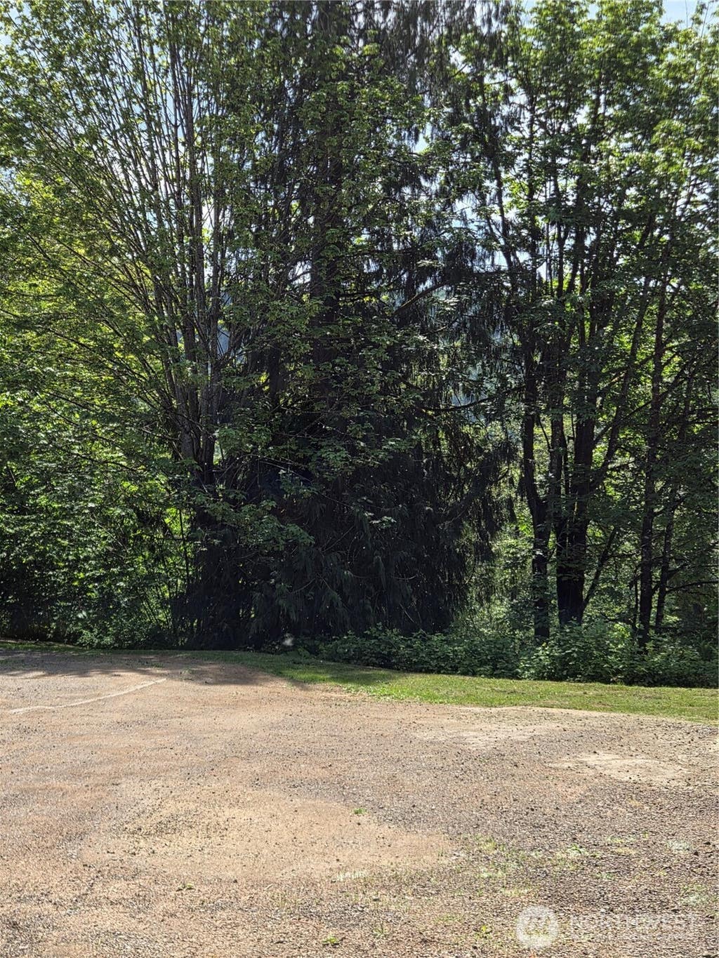 Photo of 198 Cherry Lane, Morton, WA 98356 (MLS # 2554943)