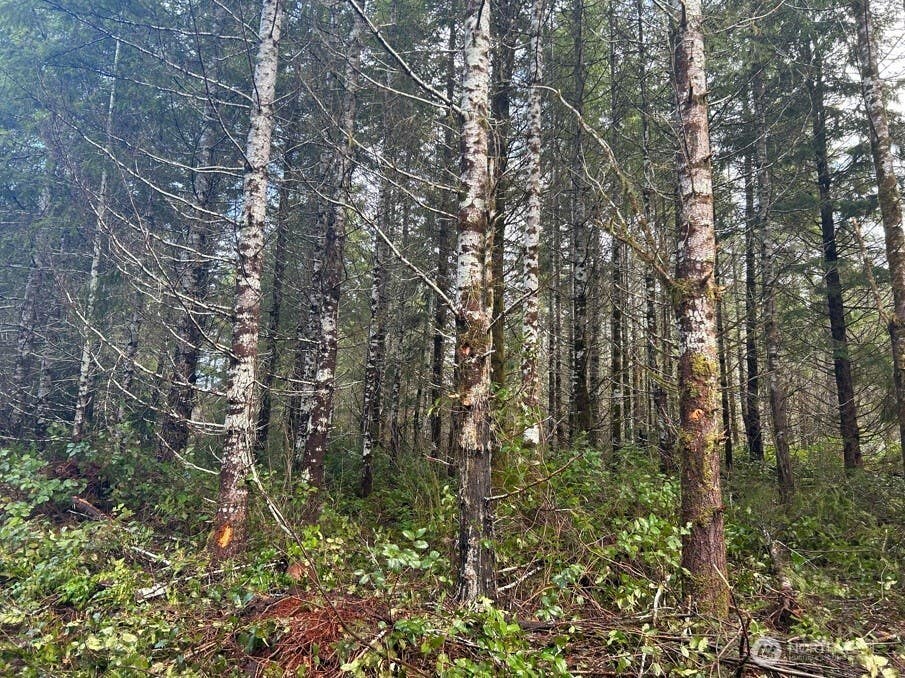 Photo of Shelton, WA 98584 (MLS # 2564505)