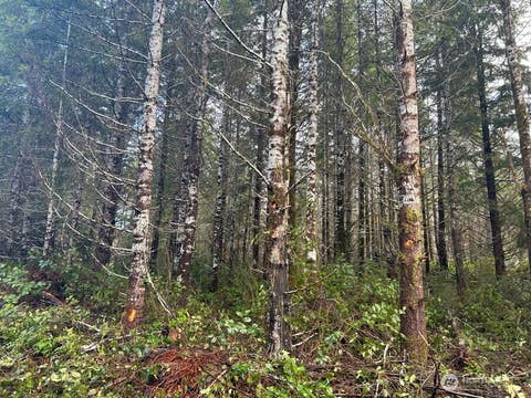 Photo of Shelton, WA 98584 (MLS # 2564505)