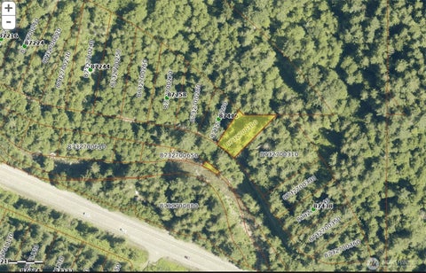 Photo of 87422 NE Old Cascade Highway, Skykomish, WA 98288 (MLS # 2594296)