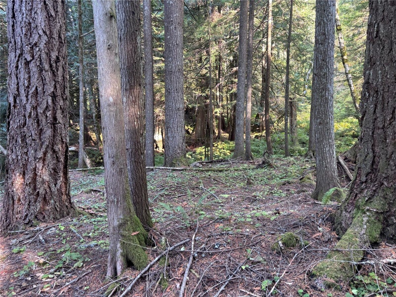 87422 NE Old Cascade Highway