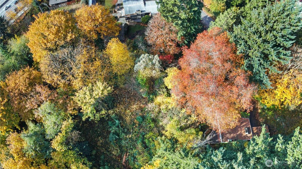 Photo of 12117 SE 26th Street, Bellevue, WA 98005 (MLS # 2446421)