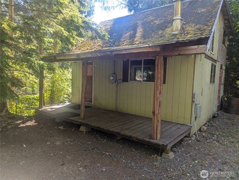 411 Elk Dr Brinnon WA 98320