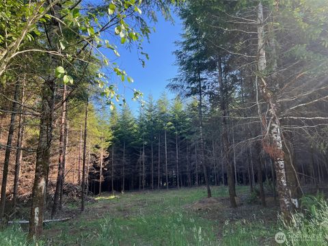 7 Beaver Hill Lane Montesano WA 98563