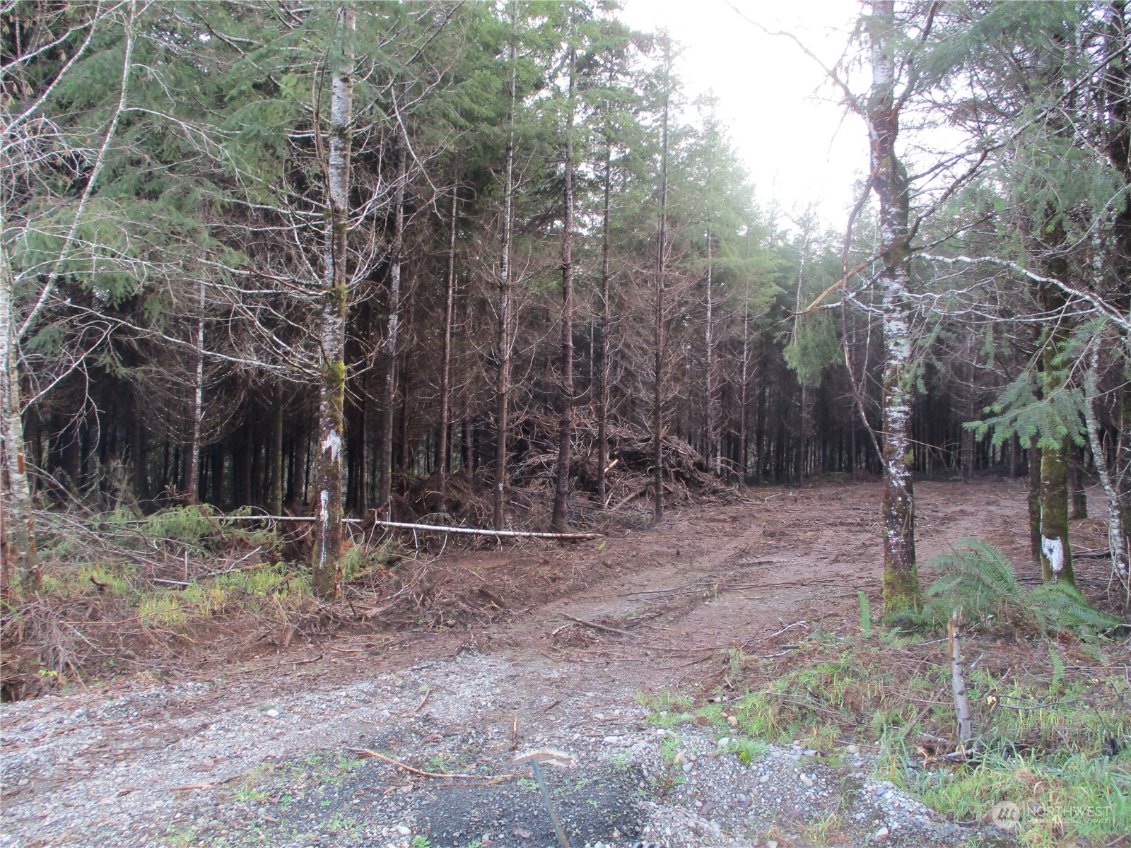 7 Beaver Hill Lane