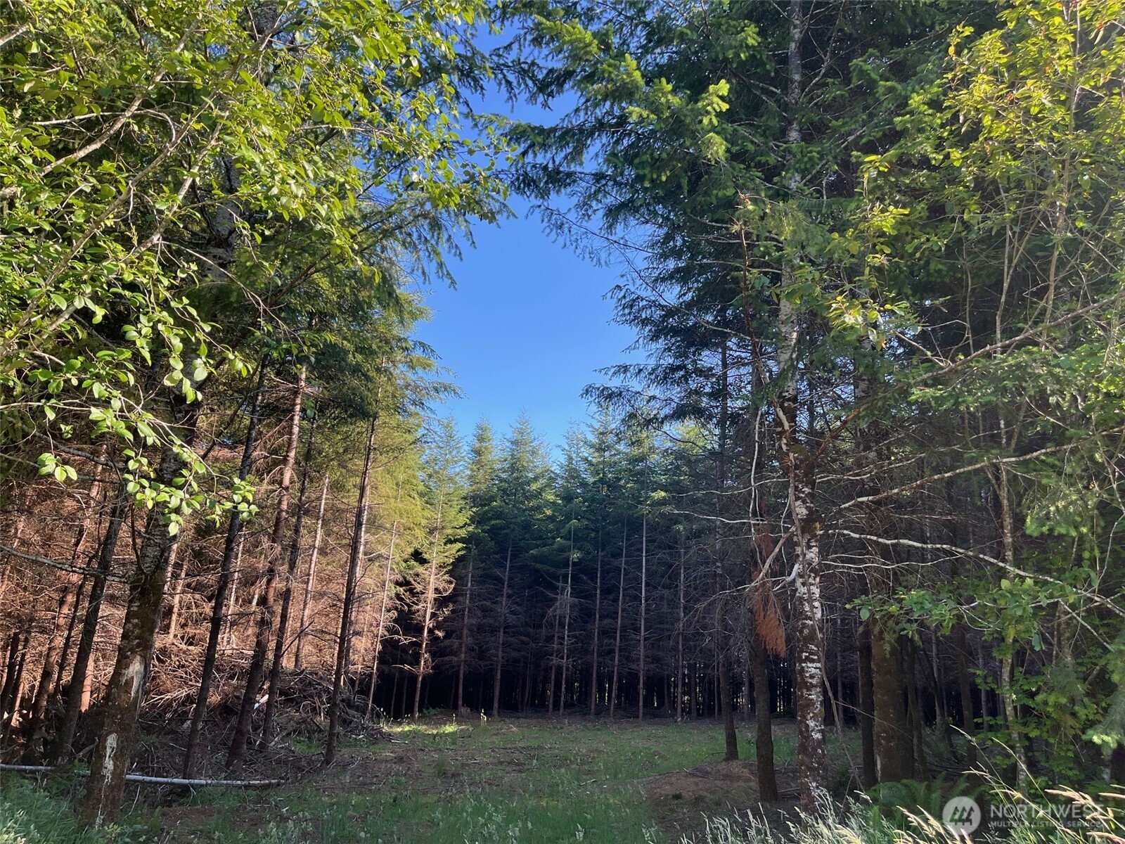 7 Beaver Hill Lane