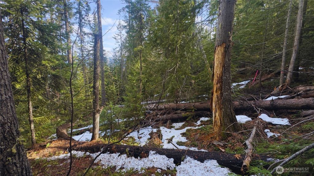 Photo of 15839 Cedar Brae Road, Leavenworth, WA 98826 (MLS # 2510812)