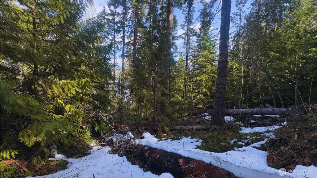 Photo of 15839 Cedar Brae Road, Leavenworth, WA 98826 (MLS # 2510812)