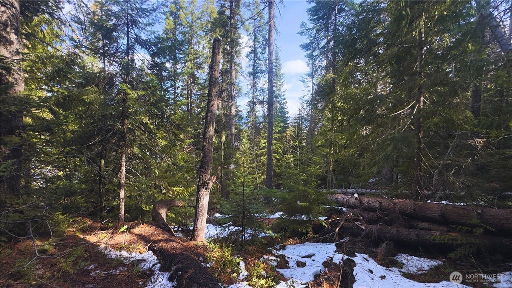 Photo of 15839 Cedar Brae Road, Leavenworth, WA 98826 (MLS # 2510812)