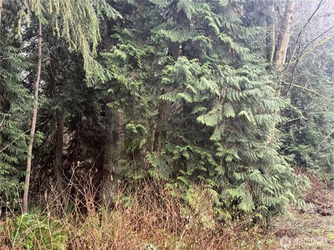 Photo of 0 325th Street NW, Stanwood, WA 98292 (MLS # 2480470)