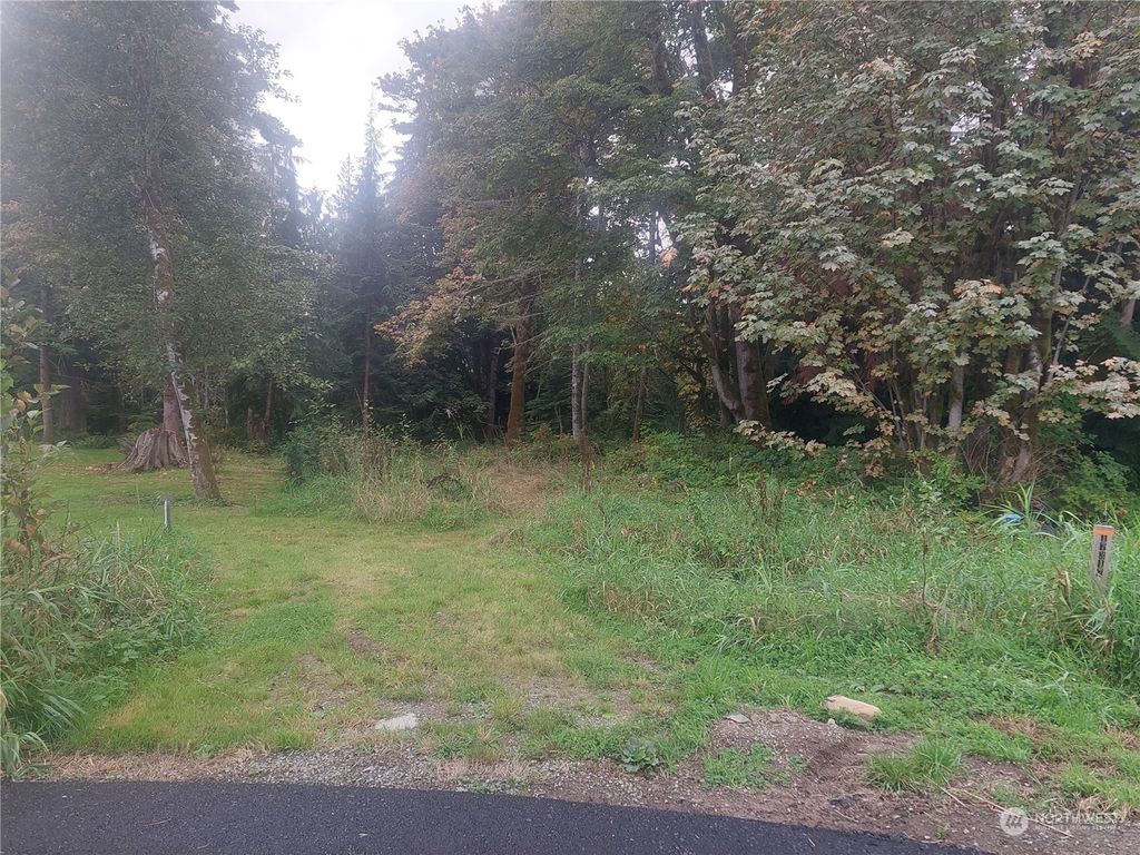 Photo of 17317 22nd Street NE, Snohomish, WA 98290 (MLS # 2294501)