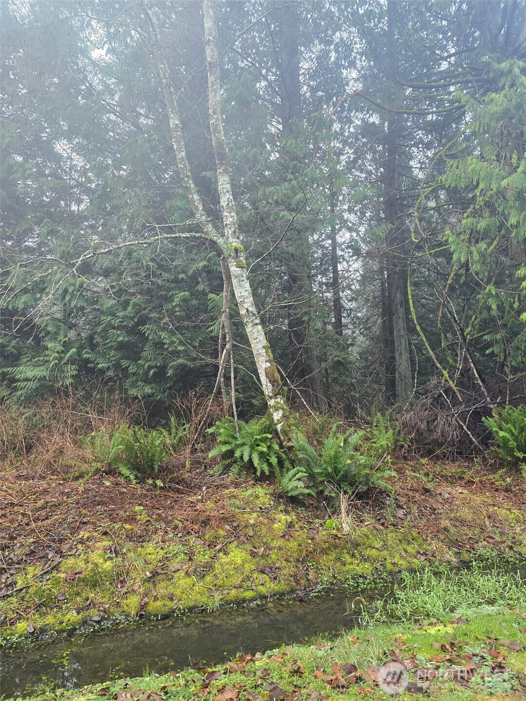 0 Fisherman's Bend Lane