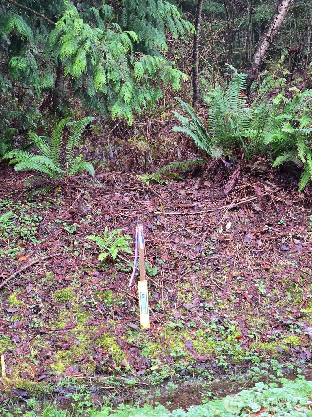 0 Fisherman's Bend Lane