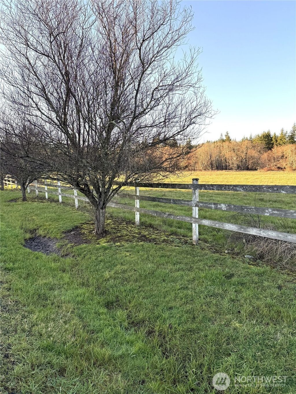 Photo of 144 Laurence Lane, Centralia, WA 98579 (MLS # 2469340)