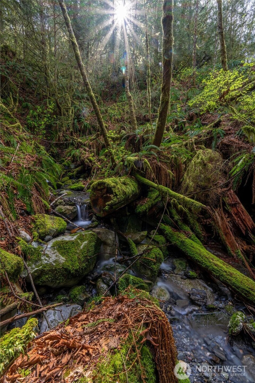 Photo of 861 Summerhill Drive, Sedro Woolley, WA 98284 (MLS # 2502112)