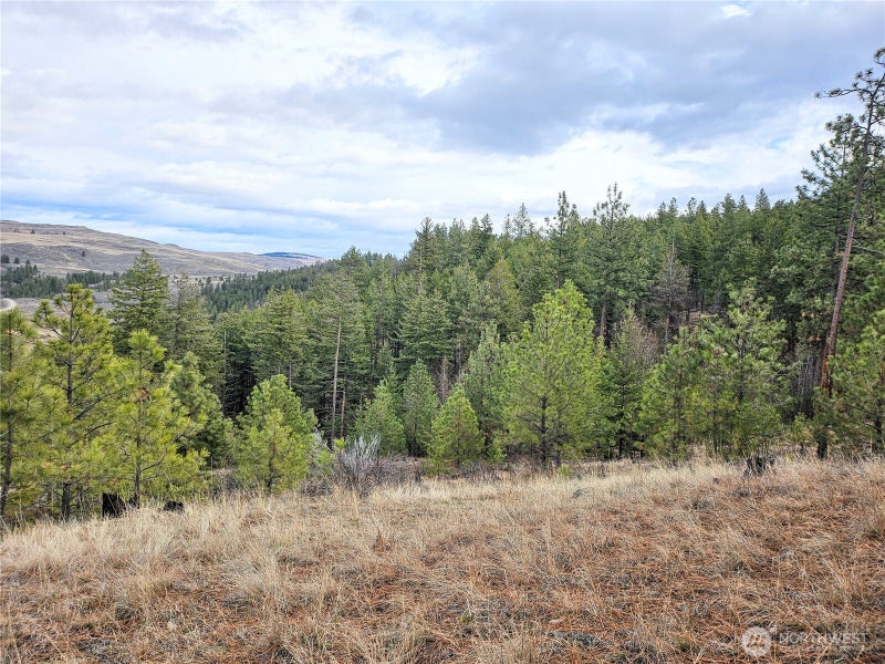 315 W Corral Drive