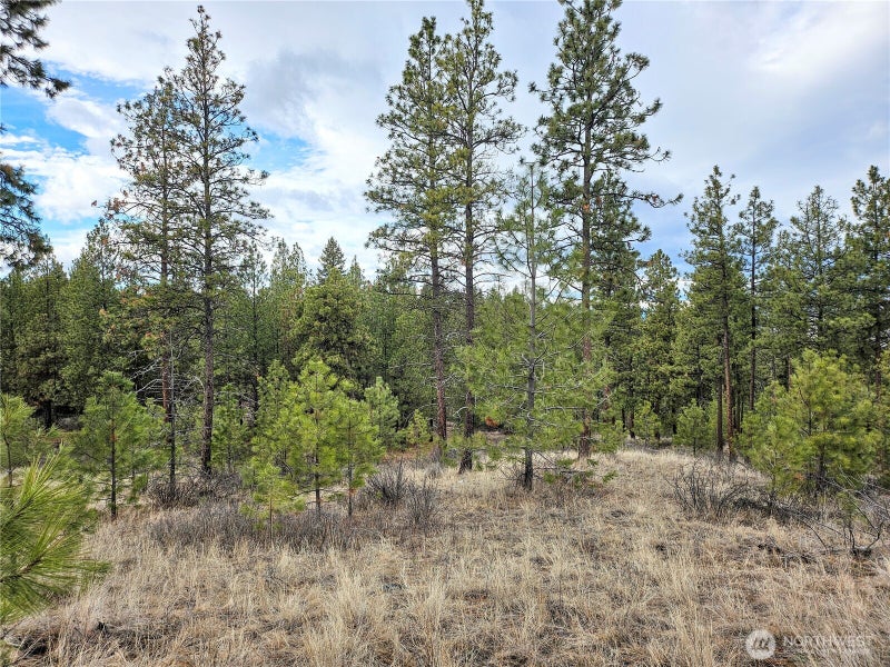 315 W Corral Drive