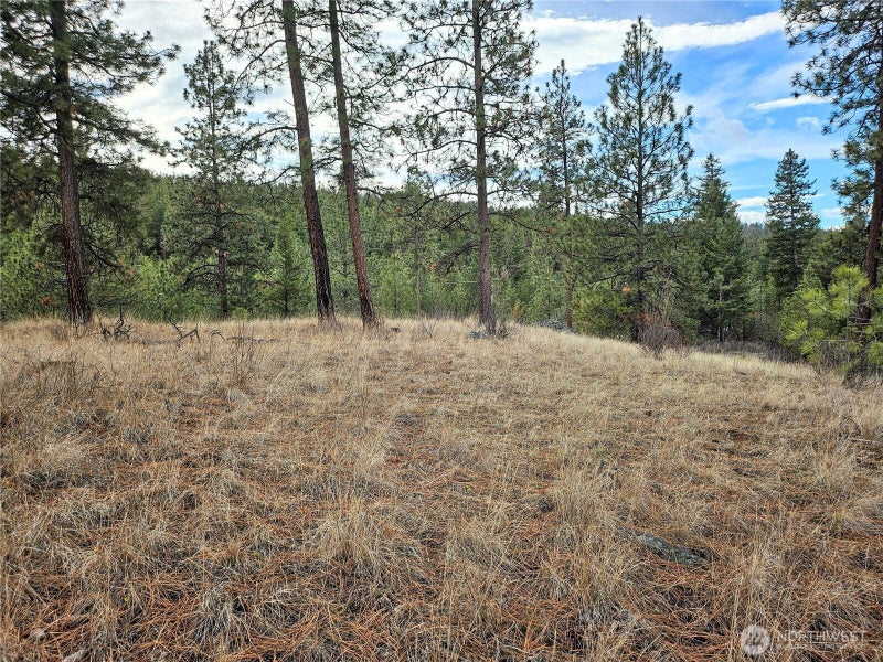 315 W Corral Drive