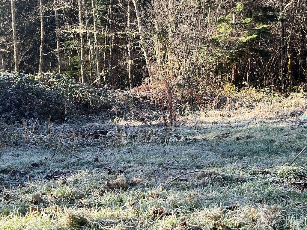 Photo of 3401 556th Court E, Ashford, WA 98304 (MLS # 2474963)