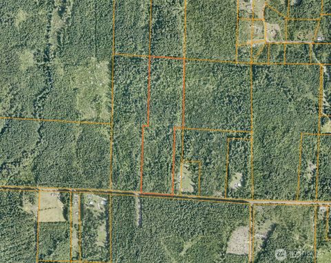 Photo of 256 Walker Road, Hoquiam, WA 98550 (MLS # 2532407)