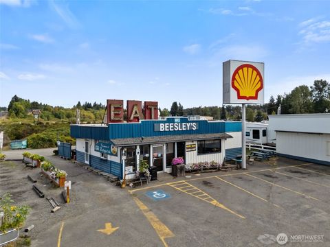 393 Cowlitz Ridge Road Toledo WA 98591