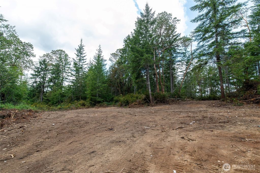 Photo of 0 E Elaine Place, Belfair, WA 98528 (MLS # 2530379)
