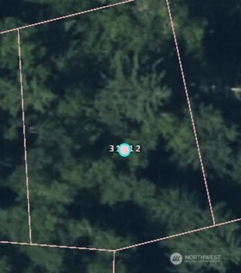 Photo of 31512 Mt Tahoma Canyon Road E, Ashford, WA 98304 (MLS # 2485606)