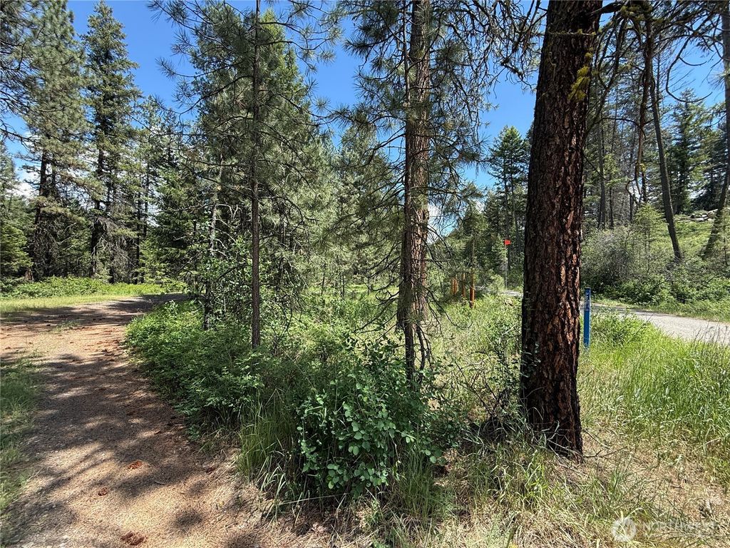 Photo of 21 Pine Grove Street, Republic, WA 99166 (MLS # 2532942)