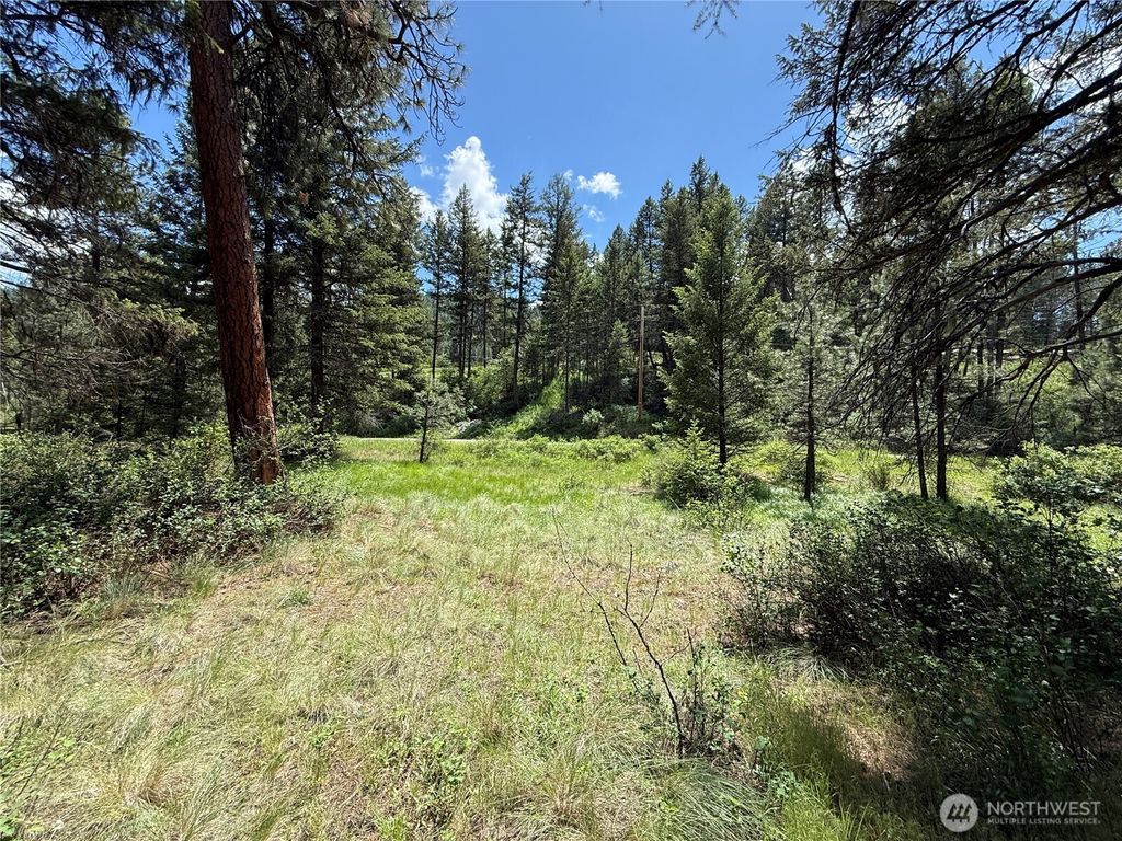 Photo of 21 Pine Grove Street, Republic, WA 99166 (MLS # 2532942)