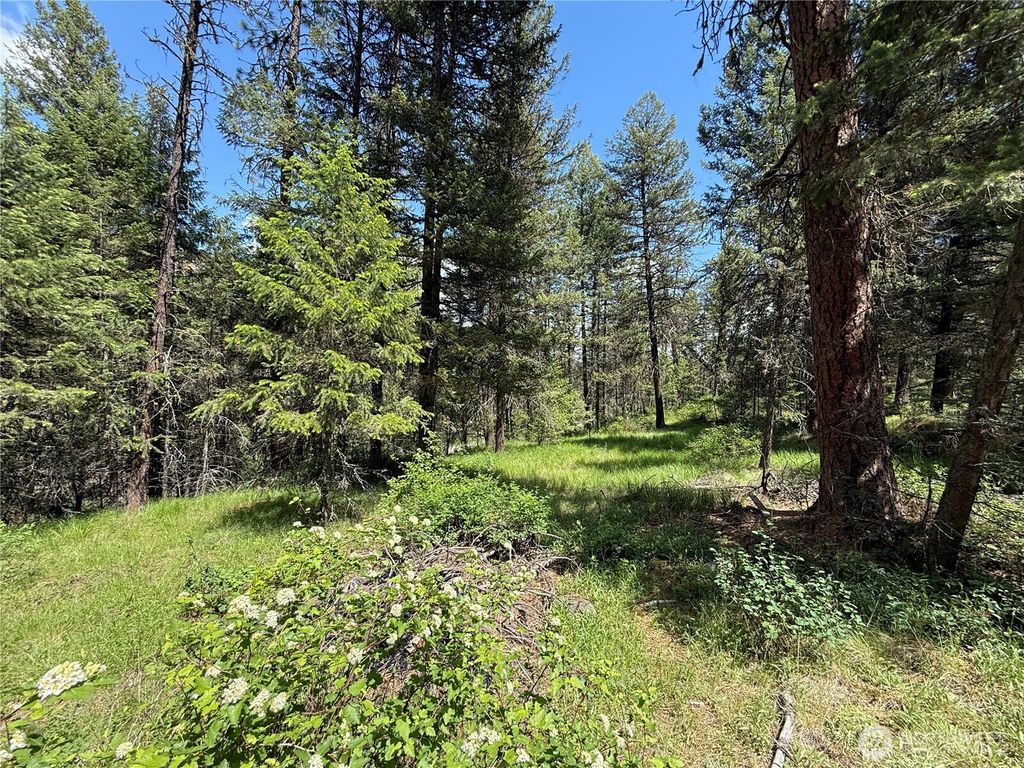 Photo of 21 Pine Grove Street, Republic, WA 99166 (MLS # 2532942)