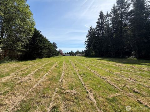 Photo of 11235 Rhody Drive, Port Hadlock, WA 98339 (MLS # 2517220)