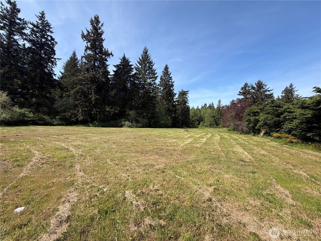 Photo of 11235 Rhody Drive, Port Hadlock, WA 98339 (MLS # 2517220)