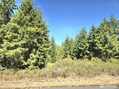 Photo of 19710 146th Avenue SE, Yelm, WA 98597 (MLS # 2573793)