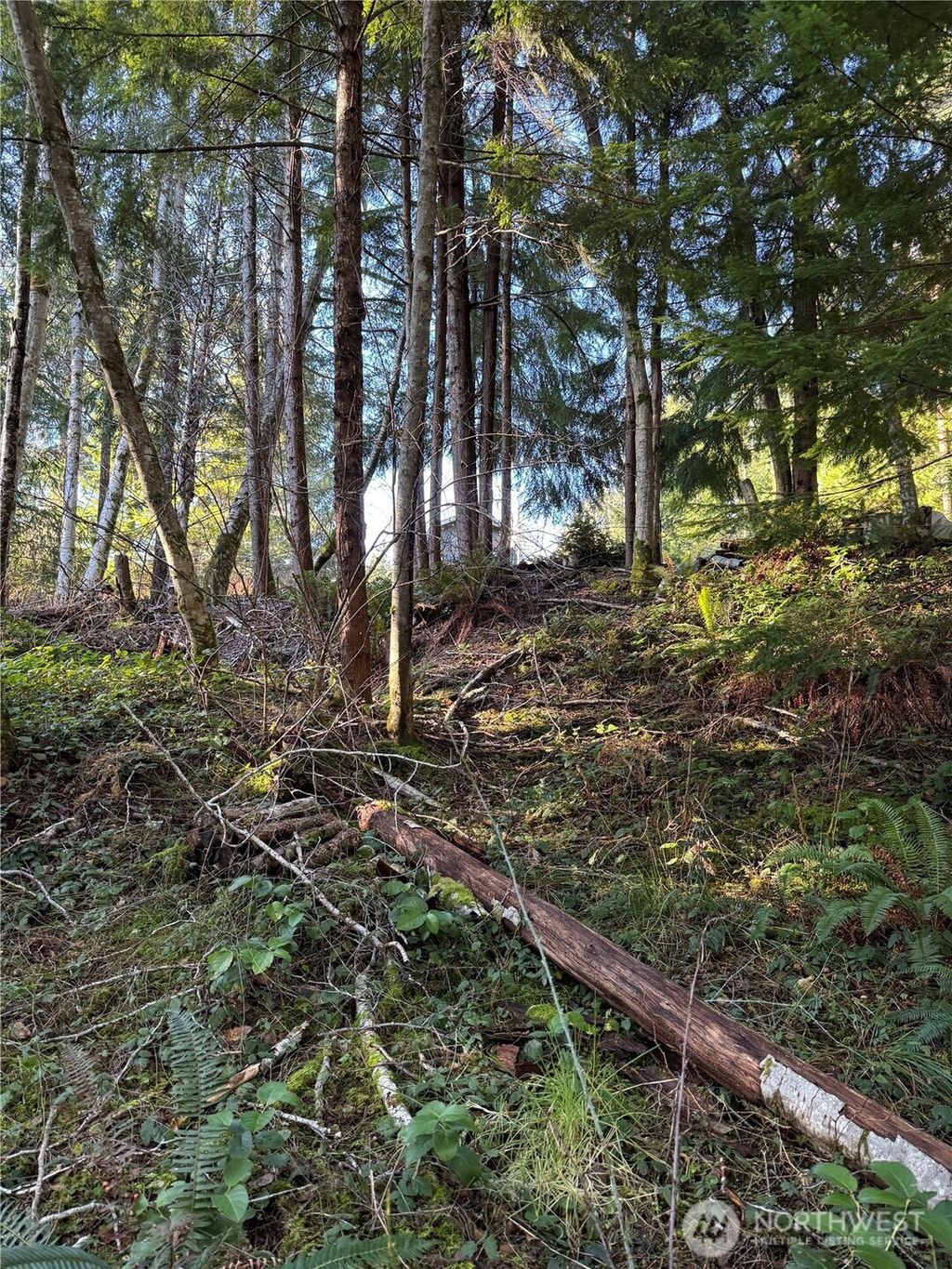 Photo of 0 NE Lake Christine Road, Tahuya, WA 98588 (MLS # 2476620)