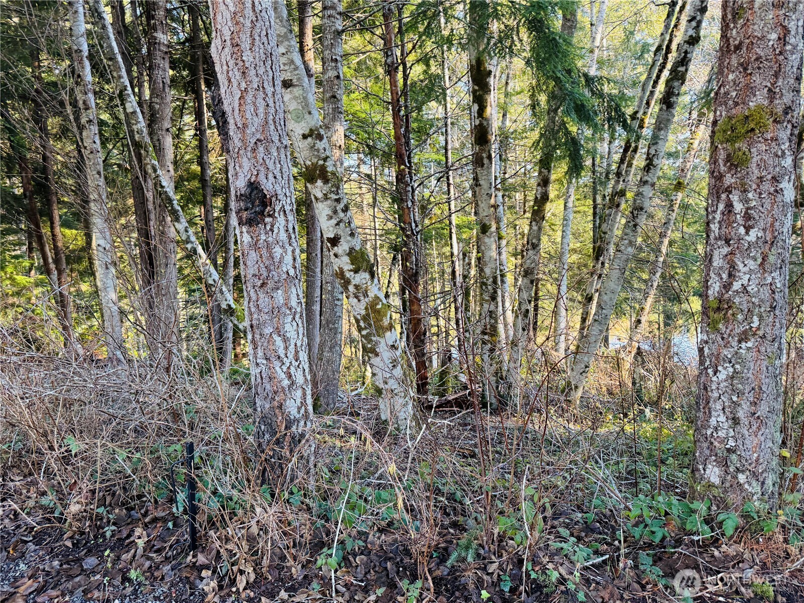 0 NE Lake Christine Road