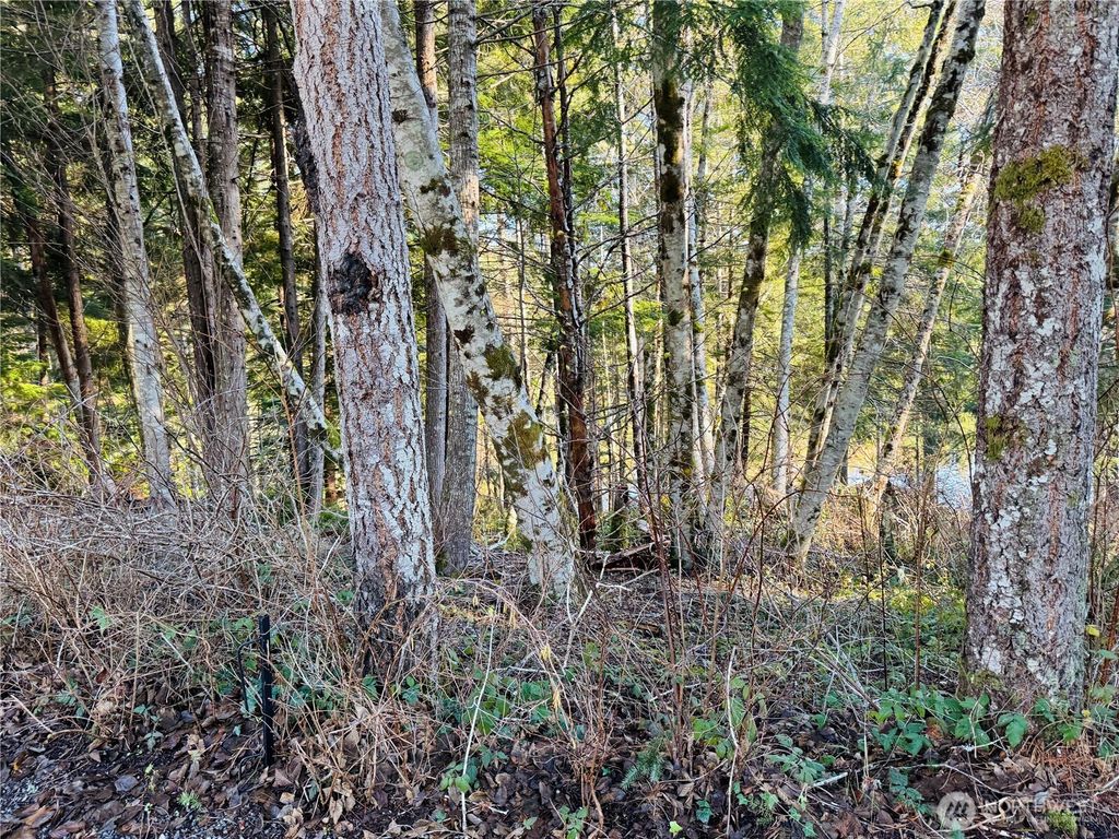 Photo of 0 NE Lake Christine Road, Tahuya, WA 98588 (MLS # 2476620)