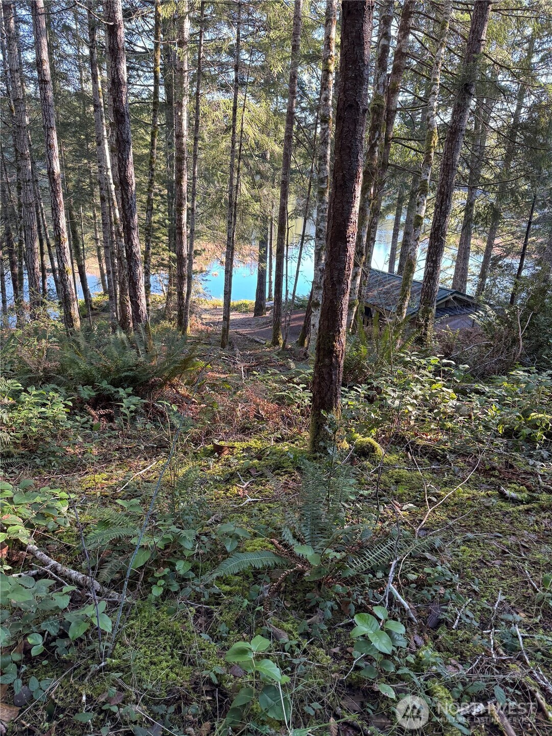 0 NE Lake Christine Road