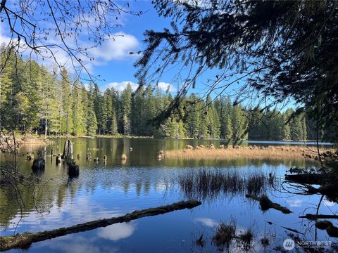 0 NE Lake Christine Road Tahuya WA 98588