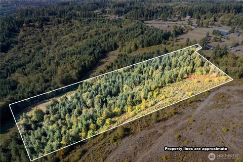 0 Spirit Lake Parcel WK3612009 Highway Castle Rock WA 98611