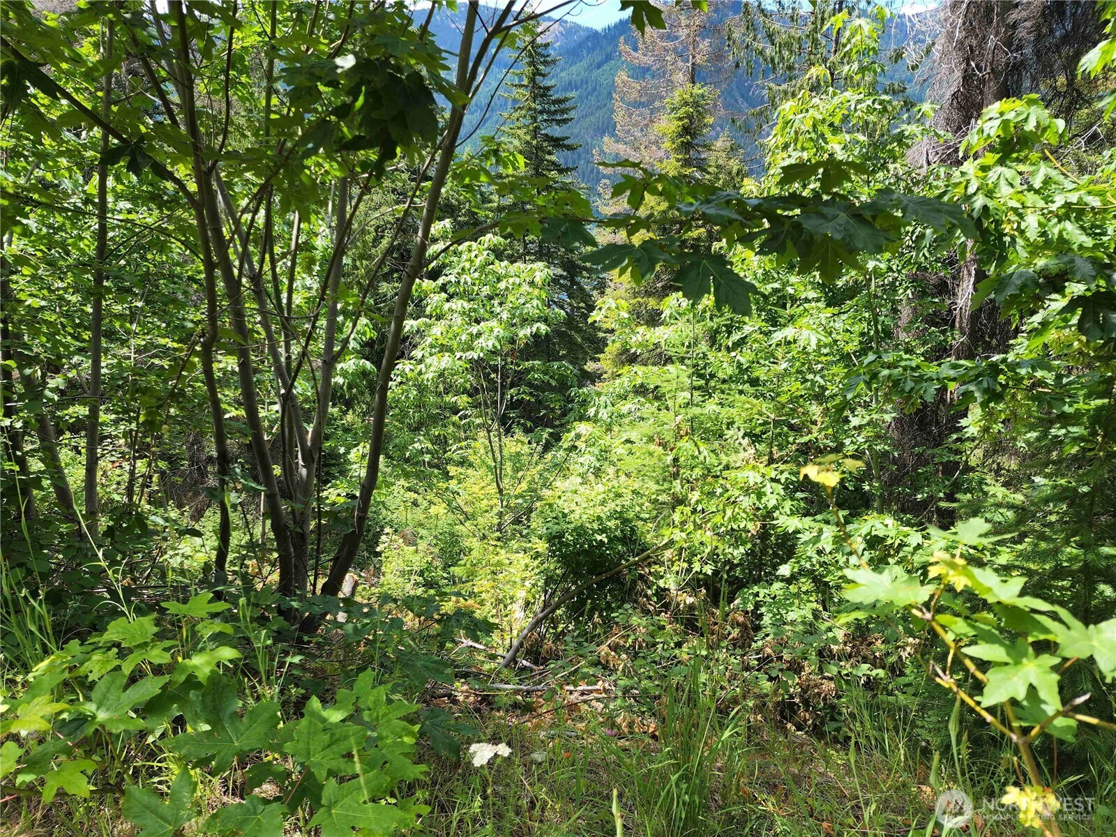 7 Newport Creek Loop