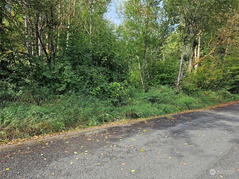 0 Valley View Drive Mossyrock WA 98564