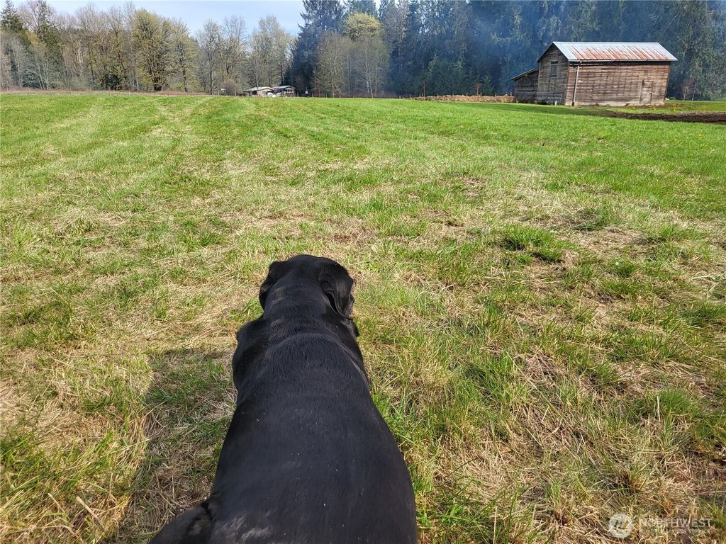 Photo of 8731 SR 92, Granite Falls, WA 98252 (MLS # 2486012)