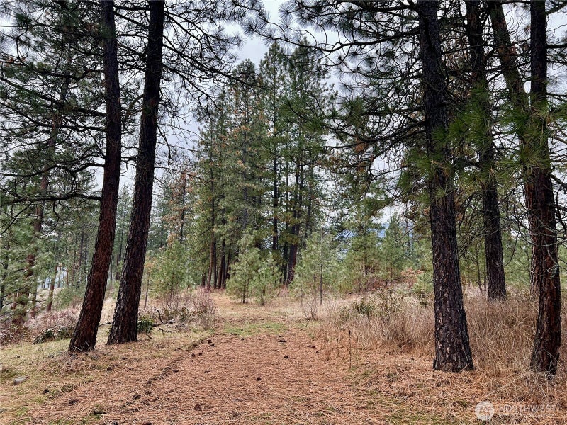 0 Northport Flat Creek Road