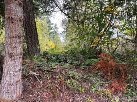 21 Camano Lane Port Ludlow WA 98365