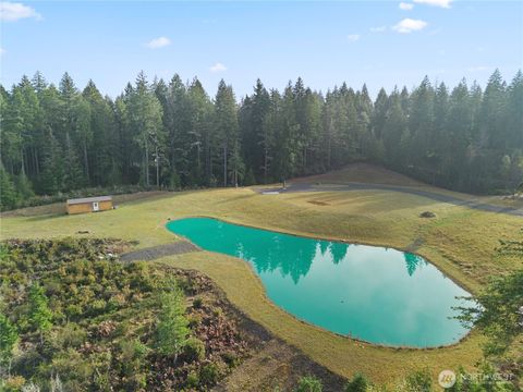 151 E Kingsley Place Belfair WA 98528