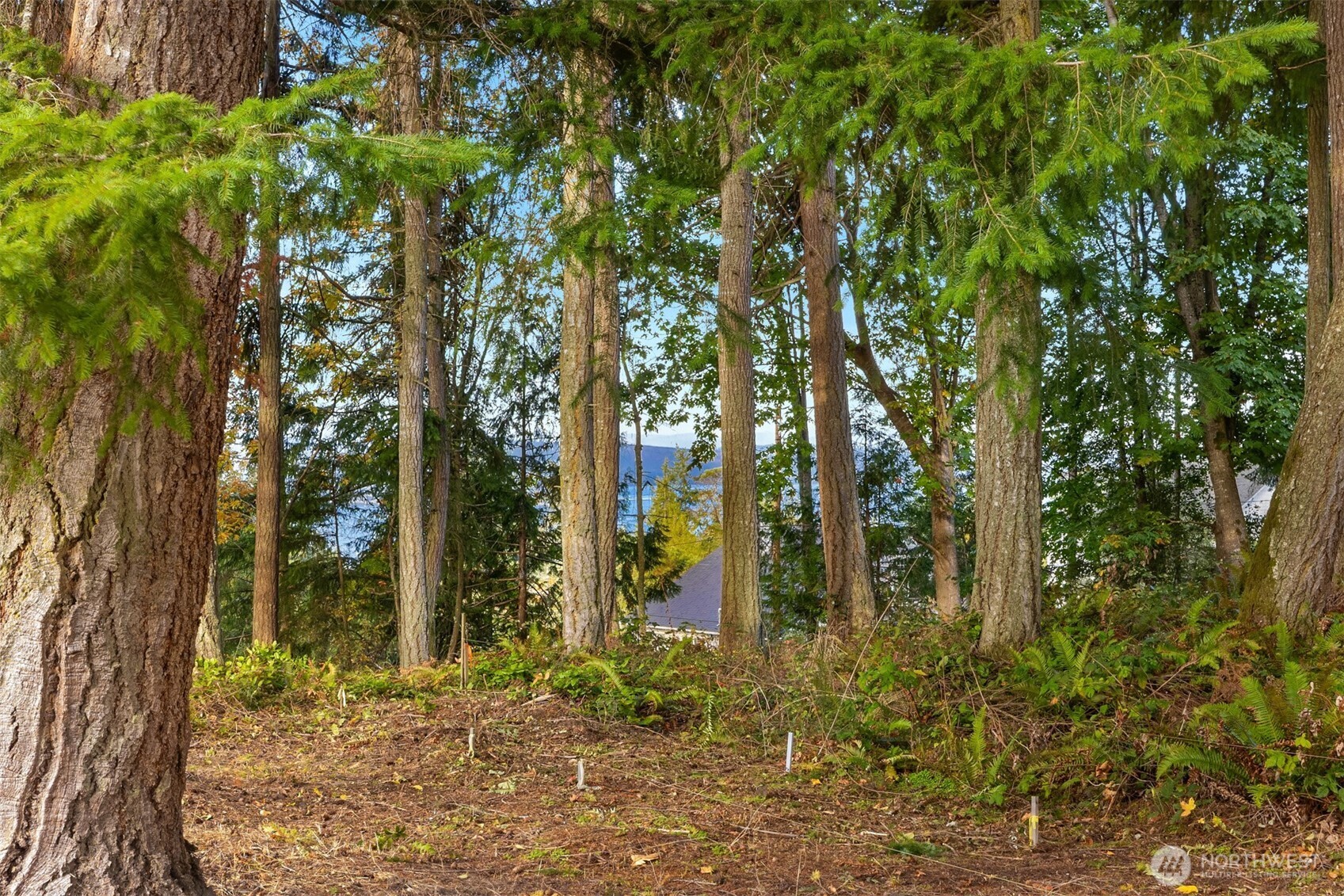 34464 Bridge View Drive NE