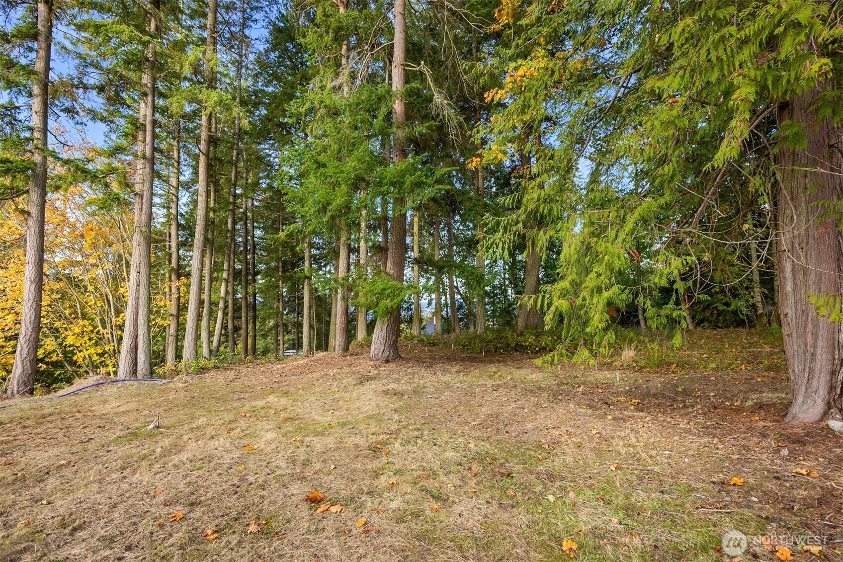 34464 Bridge View Drive NE