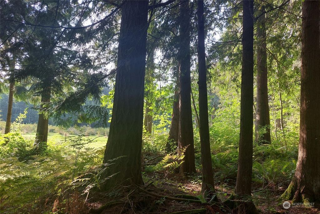 Photo of 13410 242nd Avenue NE, Woodinville, WA 98077 (MLS # 2295414)