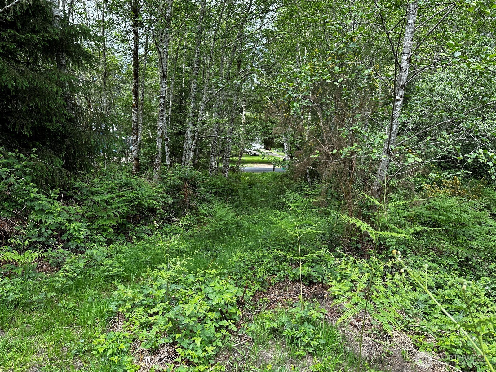 31104 Sandridge Road
