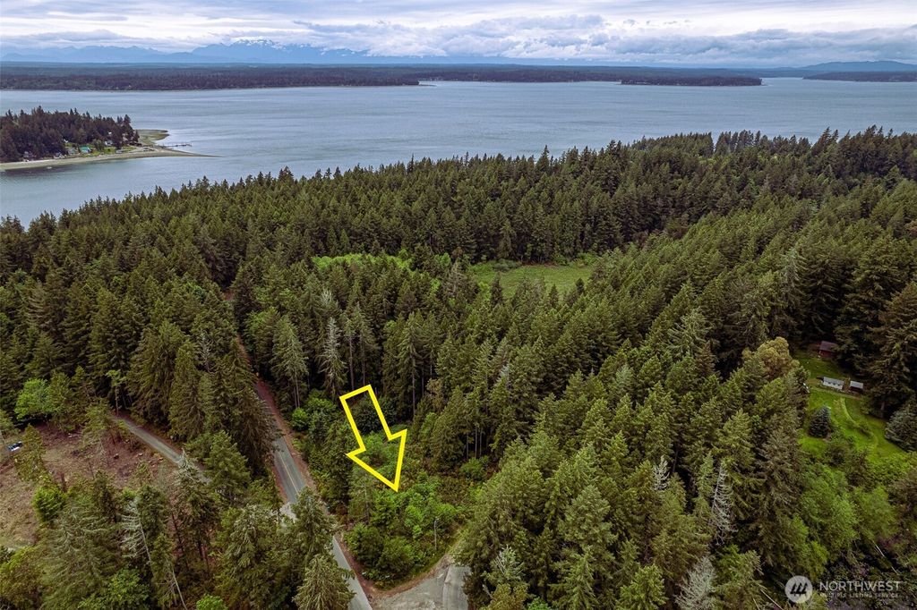 Photo of 811 Herron Road SW, Lakebay, WA 98349 (MLS # 2509388)